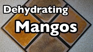 Dehydrating Mangos [upl. by Vitus]