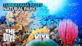 Virtual Diving sa Tubbataha Reefs Natural Park  Dive Guide TheDivePh [upl. by Remmus93]