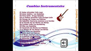 Cumbias Instrumentales Alta Calidad de Audio WAV [upl. by Ettevi260]