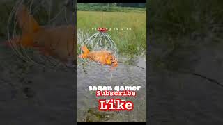 FISHING IS LIFE 😅😅FUNNY VIDEO FUNNY VIDEO sagargamer [upl. by Lalo]