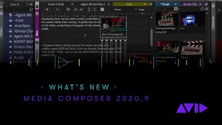 Whats New in Avid Media Composer 20209 [upl. by Sesylu32]