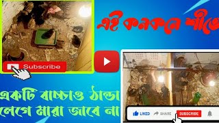 কম খরচে দেশি মুরগির বাচ্চা ব্রুডিং করার নিওম।।Desi Murgi palanDeshi murgi brooding Murgi palan 2025 [upl. by Annoyi]