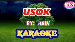 USOK BY ASIN 🎤 KARAOKE 🎤 [upl. by Klusek500]