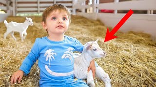 Baby Noah Meets Baby Goats for the First Time emotional [upl. by Yesteb966]