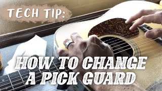 Tech Tip How to Change a Pickguard on Acoustic Guitar [upl. by Htes156]