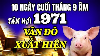 Tử Vi Tân Hợi 1971 Vận Đỏ Xuất Hiện Giàu Sang Chờ Đợi Đúng 10 Ngày Cuối Tháng 9 Âm Lịch [upl. by Elliot891]