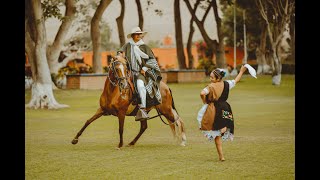 Caballo de paso peruano  Marinera norteña 2021 [upl. by Kaiulani190]