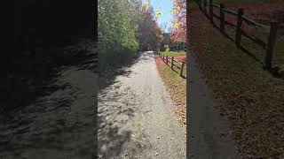 Hiking the Upper Yahara River at Lunch shorts [upl. by Marion]