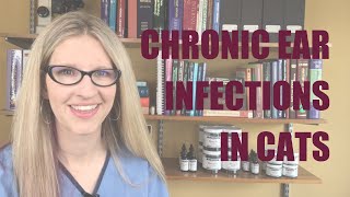 Chronic Ear Infection in Cats  Ask Dr Angie [upl. by Pavlov]