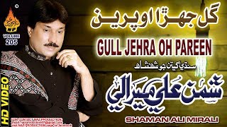 GULL JEHRA O PREEN  Shaman Ali mirali Volume 205 Full HD song Naz Production [upl. by Landri804]