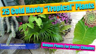 Cold Hardy Tropical Plants  Unique Plants For Cold Climates 2023 [upl. by Alihet338]