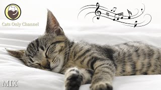 10 Hours of Relaxing Music for Cats  Harp Music to Calm Cats [upl. by Etnovad]