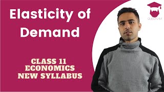 Elasticity of Demand in Nepali  New Syllabus  Class 11  Economics [upl. by Elleb202]