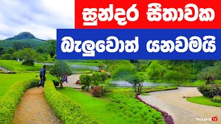 Seethawaka Wet Zone Botanic Gardens Avissawella  Best things to do in Colombo  Travel Guide [upl. by Ulrich]