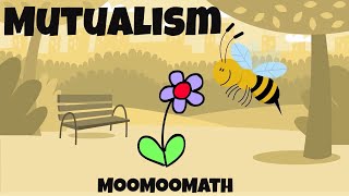 10 Mutualism Examples [upl. by Eiggam]