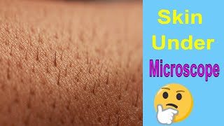 Human Skin Under microscope  Quick video [upl. by Gallenz]