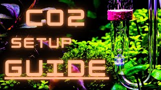 EVERYTHING YOU NEED TO KNOW TO SETUP A CO2 SYSTEM FOR YOUR AQUARIUM [upl. by Aiet]