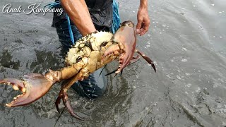 Great skill catching giant crabs in the water with bare hands [upl. by Malley454]