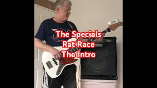 The SpecialsRat Race bass coverThe introshortsThe SpecialsBass cover [upl. by Nalani738]