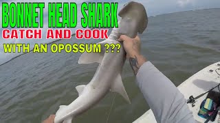 BONNET HEAD SHARK CATCH AND COOK [upl. by Hurlee]