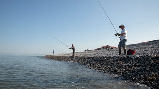 Pêche au maquereau à Cayeux sur Mer  Quand le poisson vient à la côte [upl. by Lihp]