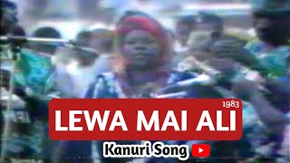 Kanuri Song by Lewa Mai Ali [upl. by Deeas]