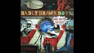 Badly Drawn Boy  How [upl. by Inttirb]