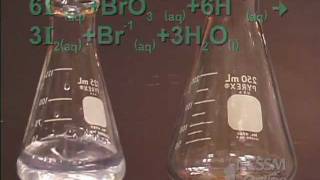 Bromate  Iodide Clock Reaction Lab [upl. by Yedarb31]