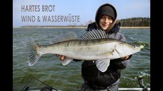 Hartes Brot Wind amp WasserwÃ¼ste  Zanderangeln auf dem Bodden [upl. by Tinor958]