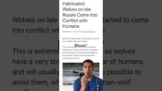 Habituated Wolves on Isle Royale Come into Conflict with Humans [upl. by Seluj837]