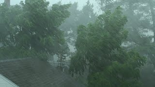 Heavy Rain and Wind Sounds For Sleeping  Relaxation  10 Hours [upl. by Akirahc]