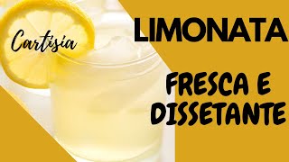 LIMONATA FATTA IN CASA RICETTA DELLA NONNA [upl. by Rosalind176]