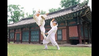 Taekkyeon  A Traditional Korean Martial Art [upl. by Breanne551]