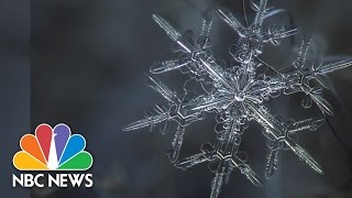 Snowflake Anatomy Breathtaking Microscope Photos  NBC News [upl. by Etnauq]