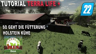 LS22  TerraLife  Tutorial  Fütterung der Holstein Kühe und Bullen [upl. by Sadira]