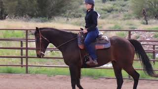 Class 35  Ranch Riding WalkTrot  Scottsdale Saddle Club  March Horse Show [upl. by Soloma102]