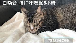 貓咪呼嚕聲 呼嚕聲 白噪音 5小時 黑屏 療癒 睡覺 無廣告 Cat cat purring 癒し系 猫 ゴロゴロ ゴロゴロ 疗愈系 [upl. by Ignacio362]