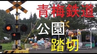 Level crossing japantokyoome park [upl. by Munsey380]