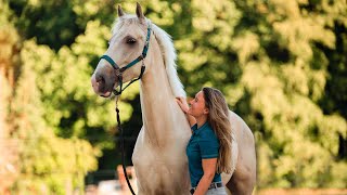 DIT IS MIJN NIEUWE PAARD  felinehoi [upl. by Ailugram177]