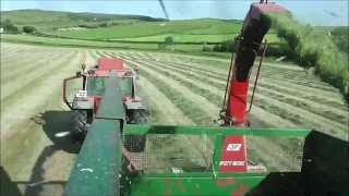 Cutting silage with JF 900 harvester [upl. by Allene]