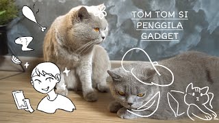 Tomtom si Penggila Gadget  Dongeng Bahasa Indonesia  Cia Cat Diary [upl. by Kanor]