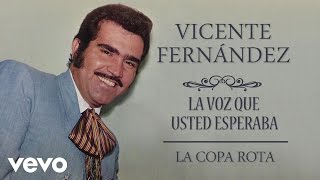 Vicente Fernández  La Copa Rota  Cover Audio [upl. by Heddy617]