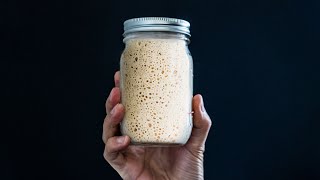 My Easy and Wild SOURDOUGH STARTER Recipe shorts [upl. by Persson]