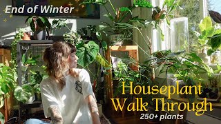 🌿 houseplant collection walk through before spring updates on repots blooms etc 250 plants [upl. by Ayoj]