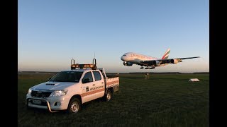 A Day in the Life of an Airside Operations Officer [upl. by Danika]