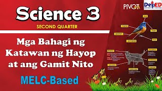 Mga Bahagi ng Katawan ng Hayop at ang Gamit Nito w Activities and Answer Key SCIENCE 3 QUARTER 2 [upl. by Crispa]