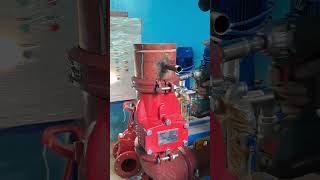 Firepump installation shorts [upl. by Asiled]