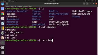 Terminal do Linux  ls cat tac e criando arquivo txt direto do terminal [upl. by Jaal]