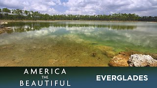 Everglades  A River of Grass [upl. by Lleuqram]