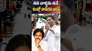 జగన్ మాటతో ఇరుకున పడ్డ పవన్ యాంటీస్  YS Jagan  Pawan Kalyan  Vijayawada  Tollywood Nagaram [upl. by Toille]